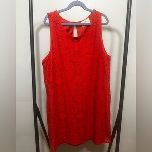 Everly Vibrant Red Lace Mini Dress